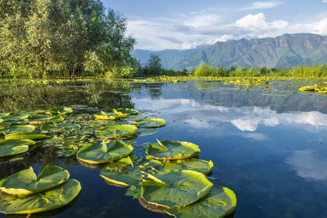 Dal Lake