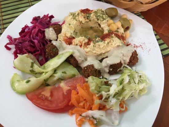 Dr.Falafel