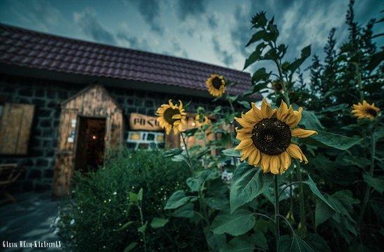 Bohem Studio