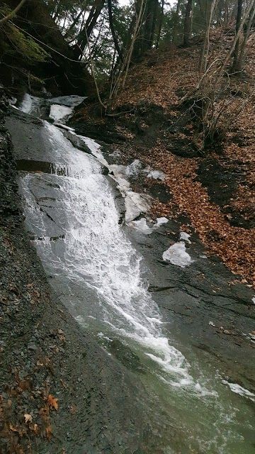 Onanda Park