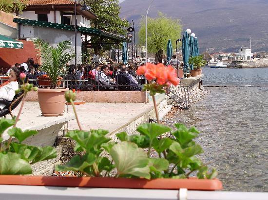 Taverna Momir