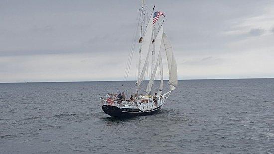 Wind Dancer Schooner Charters