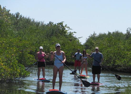 Paddleboard Connection
