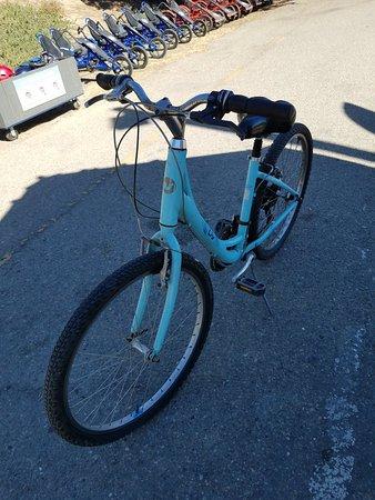 Wheel Fun Rentals