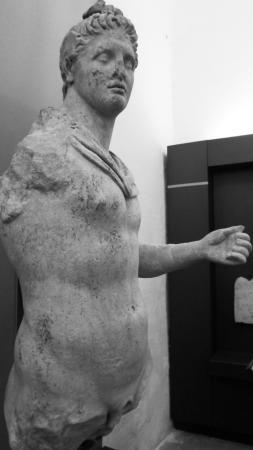 Museo Civico