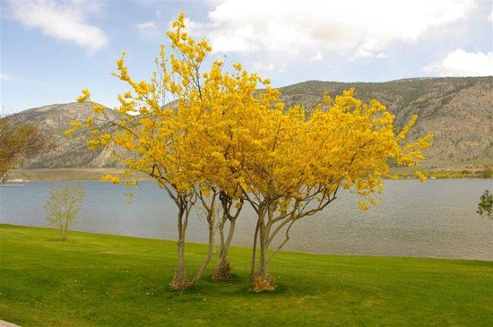 Osoyoos Lake